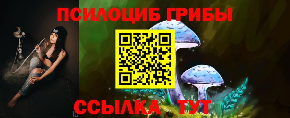 Галлюциногенные грибы GOLDEN TEACHER Миасс